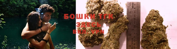 тгк Медвежьегорск