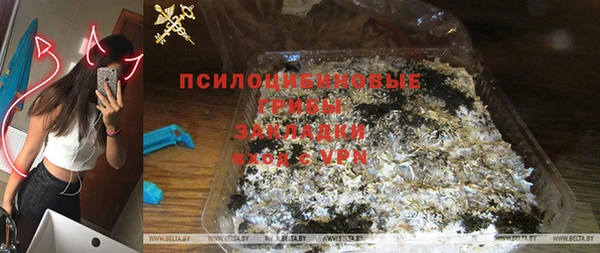 спиды Медногорск