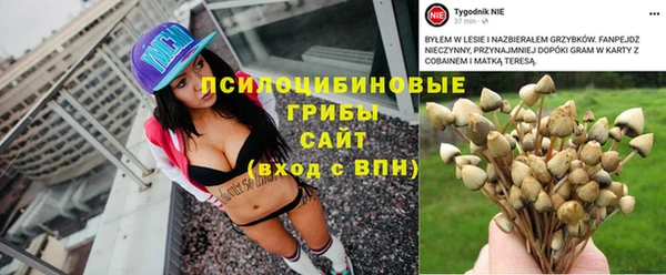 спиды Медногорск