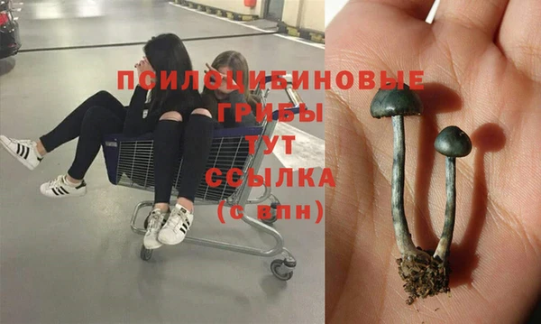марки lsd Мегион