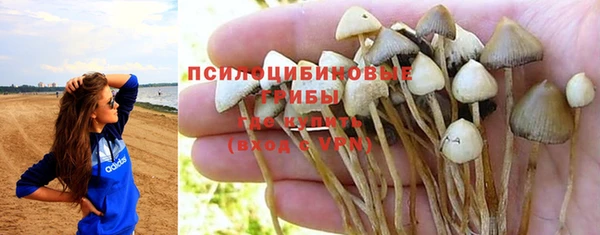 марки lsd Мегион
