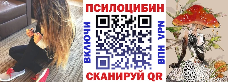 Псилоцибиновые грибы Magic Shrooms Курск